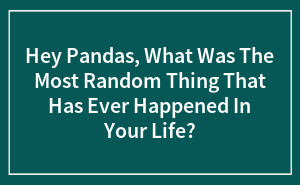 Hey Pandas, What Was The Most Random Thing That Has Ever Happened In Your Life?